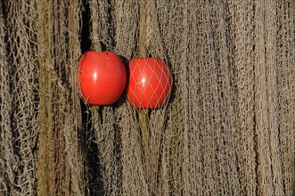 Fishing nets with two red floating buoys