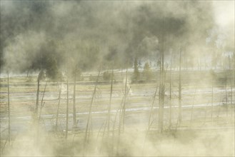 Steam rises above the hot springs