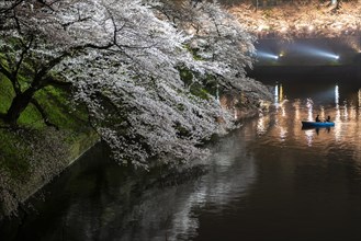 Canal with rowing boat in front of blooming cherry trees on a canal at night