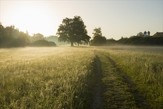 Morning atmosphere