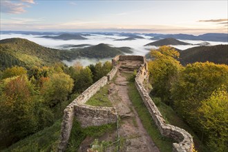 View of the Palatinate Forest from Wegelnburg Castle