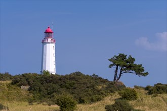 Dornbusch Lighthouse