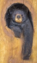 Bear made of wood