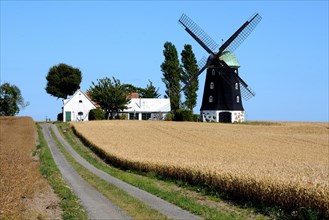 Old windmill in Hagestad