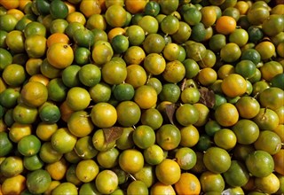 Limes (Citrus aurantiifolia) for sale at a market in Indonesia