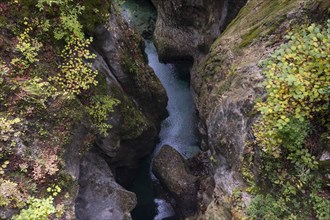 Mountain stream flows through a narrow gorge