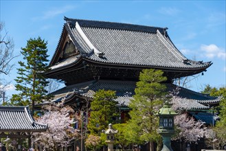 Chion-in Temple