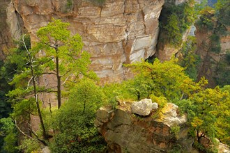 Avatar Mountains with vertical quartz-sandstone pillars