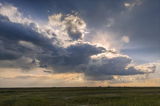 Stormy atmosphere in the Hungarian Puszta