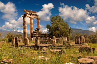 The Doric columns of the Tholos at the sanctuary of Athena Pronaia