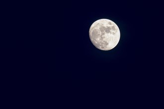 Waxing Moon in the night sky
