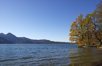 Autumn at Lake Kochel or Kochelsee Lake