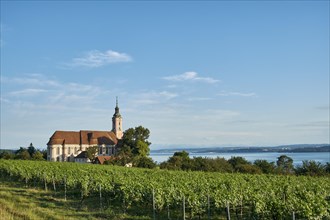 Pilgrimage church Birnau with vineyards