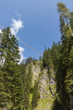 The Holzgauer Hangebrucke suspension bridge from below