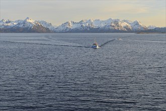 Ship in the Sortlandsund