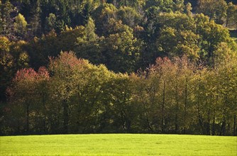Autumnal landscape in Elfringhauser Schweiz region