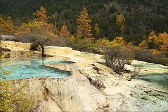 Lime terraces with lake in autumnal environment