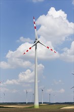 Wind farm Monchhof-Halbturn