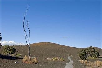 Devastation Trail through lava landscape
