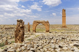 Ruins of the ancient University of Harran and the minaret of the Grand Mosque or Ulu Camii