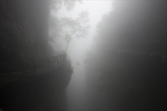 Hiking trail in fog
