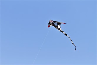 Black and white checkered kite with red wing tips flying in a blue sky