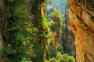 Avatar Mountains with vertical quartz-sandstone pillars