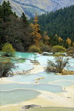 Lime terraces with lakes in autumnal environment