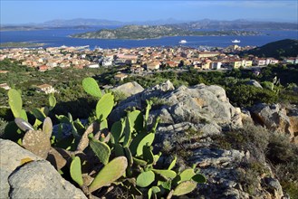 View over La Maddalena and on Sardinia