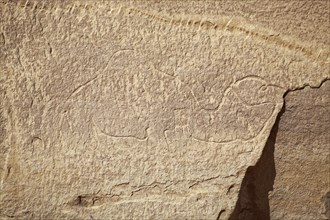 Prehistoric rock carving