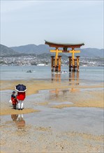 Itsukushima Floating Torii Gate in Water