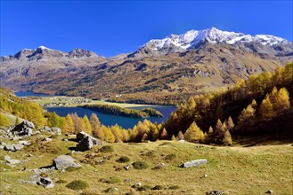 Views of Lake Sils and Piz Corvatsch in autumnal Upper Engadine