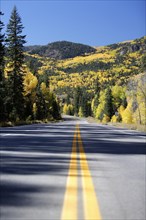 Stretch of the US 160 road at Wolf Creek Pass during the Indian Summer