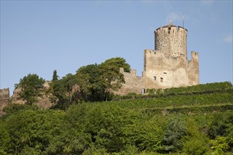 Castle ruins Sentier du Chateau
