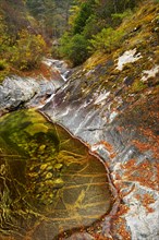 Wild river in autumn landscape