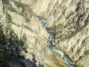 Grand Canyon of the Yellowstone