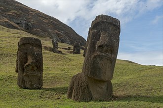 Group of Moai