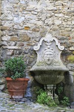 Fountain and a terracotta flower pot