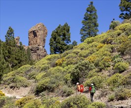 Hikers on the way to Roque Nublo rock