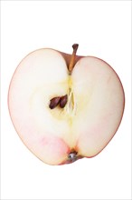 Apple variety Bishop's Mitre
