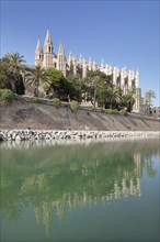 Palma Cathedral at the marine park Parc de la Mar