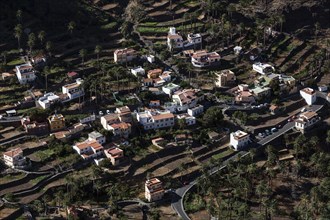 View from Mirador Cesar Manrique onto terraced fields and houses of Los Reyes