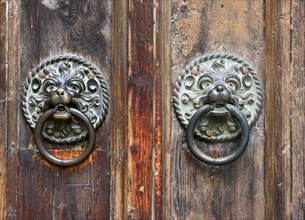 Bronze door handles in the shape of lions' heads