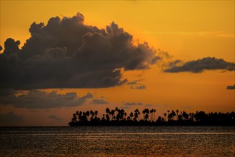 Sunset and an island with palm trees
