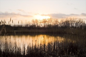 Sunset over a pond landscape of the Barnbruchswiesen meadows