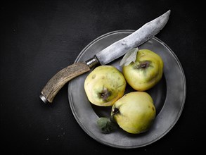 Quince on pewter plate with knife