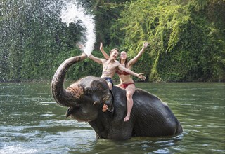 Two teenagers sitting on an Asian Elephant (Elephas maximus)