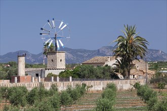 Windmill at a finca