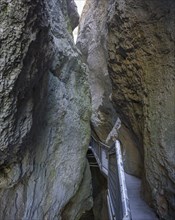 Path system through canyon