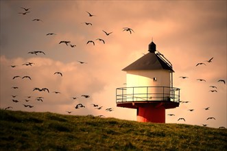 Lighthouse with flying wild geese in evening light